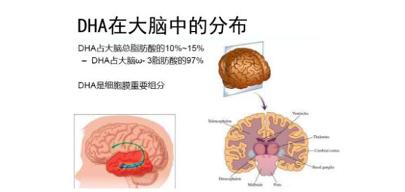 深海鱼油预防老年痴呆症