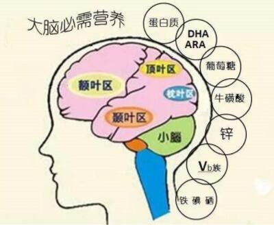 深海鱼油改善视力