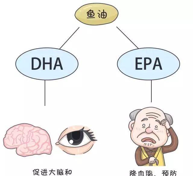 鱼油软胶囊的作用