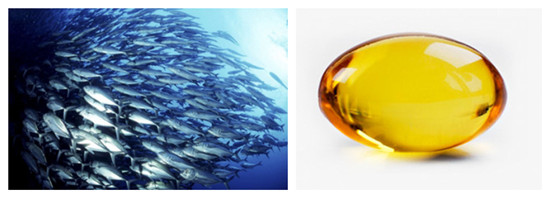 深海鱼油的功效和作用